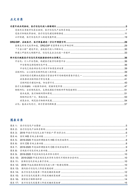 2022年医疗IT行业医疗信息化业务发展模式研究报告